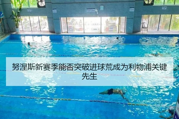 努涅斯新赛季能否突破进球荒成为利物浦关键先生